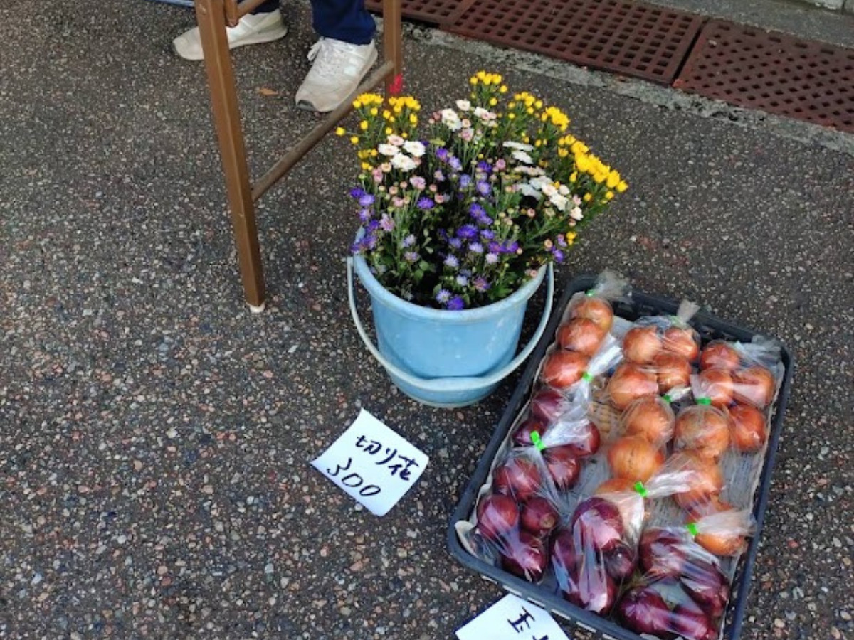 朝市で売っている切り花