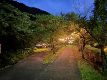 庄川の遊歩道のライトアップを堪能してきました♪