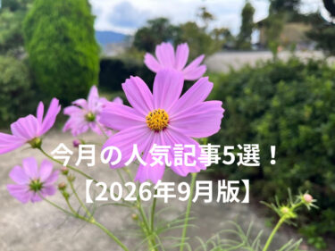 今月の人気記事5選！2026年9月版