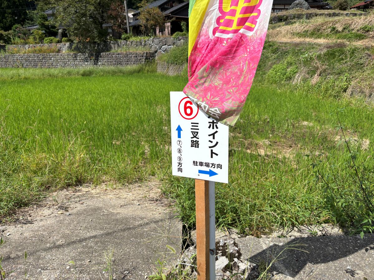 美しいヒガンバナの里で有名な五郎丸地区に行ってきました♪今年は9/25頃が見頃らしい。