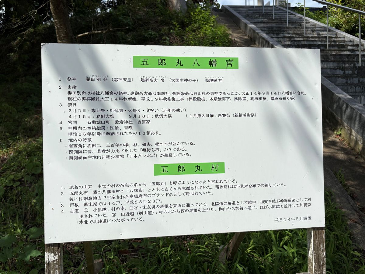 美しいヒガンバナの里で有名な五郎丸地区に行ってきました♪今年は9/25頃が見頃らしい。