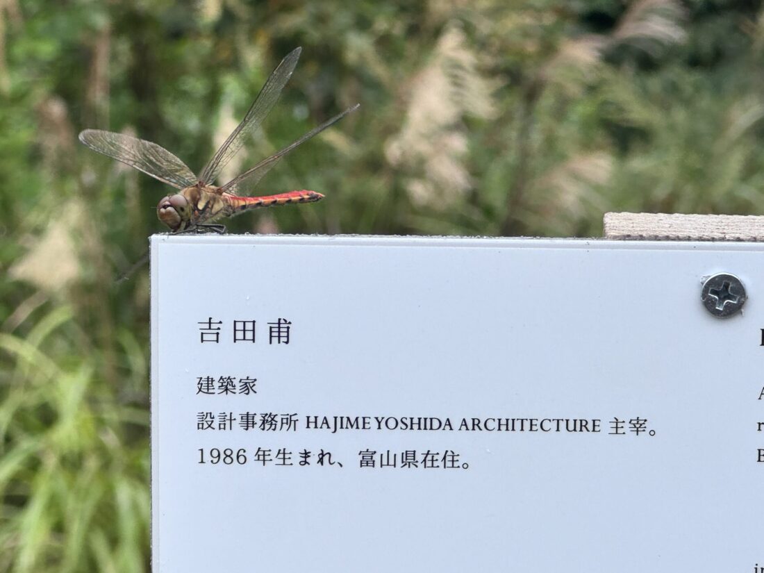 利賀国際キャンプ場の近くにオブジェが出来てた。
