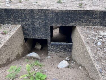 【珍百景？】利賀国際キャンプ場の近くにオブジェが出来てた。