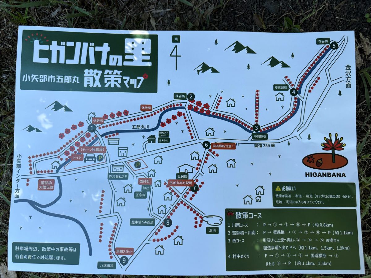 美しいヒガンバナの里で有名な五郎丸地区に行ってきました♪今年は9/25頃が見頃らしい。