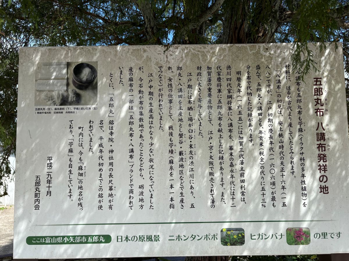 美しいヒガンバナの里で有名な五郎丸地区に行ってきました♪今年は9/25頃が見頃らしい。