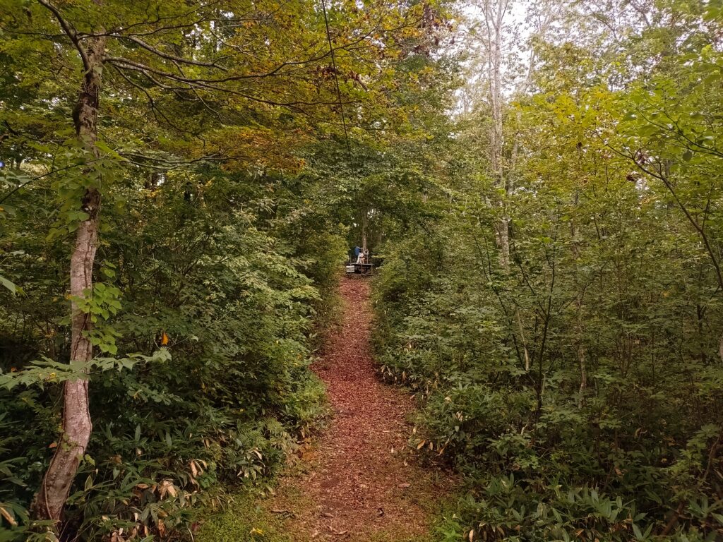 ロンレー村