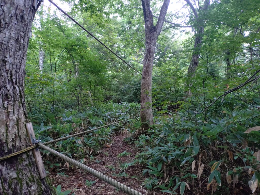 ロンレー村