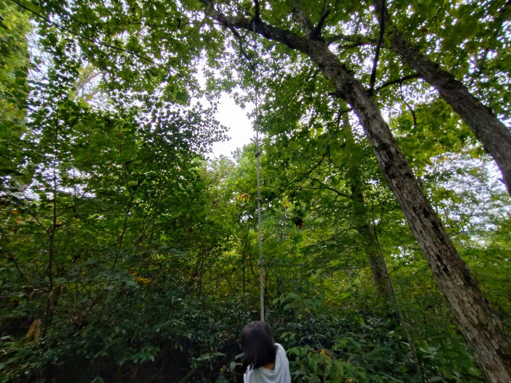 ロンレー村