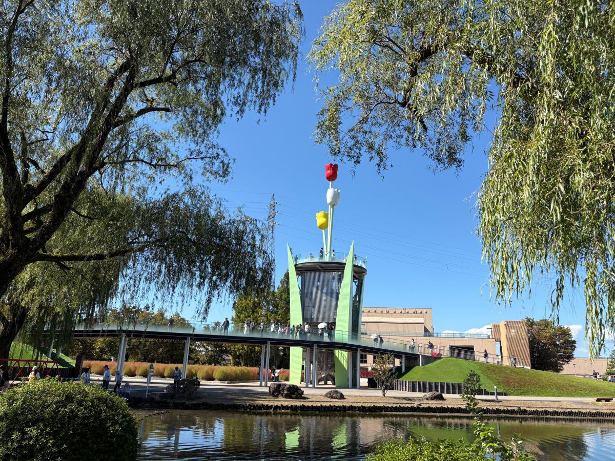 チューリップ公園のコキアを見てきたよ！